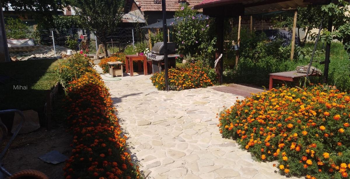 Casa cu teren aferent 1000 m2 - 16