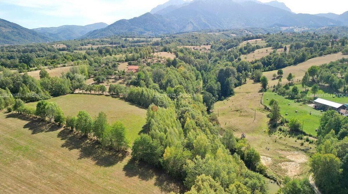 Teren intravilan, priveliste deosebita - 6