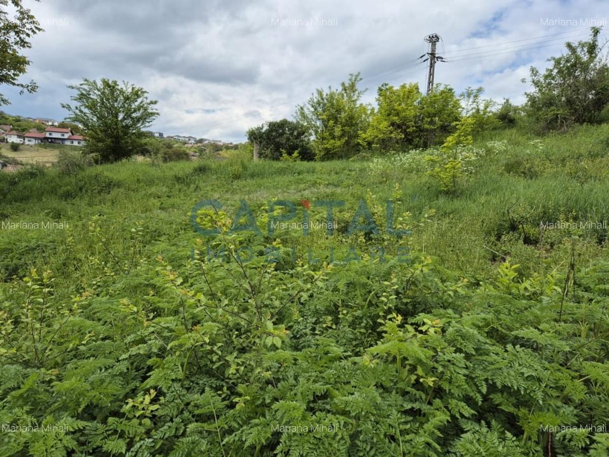 Teren extravilan 11 600mp, Dezmir - 2