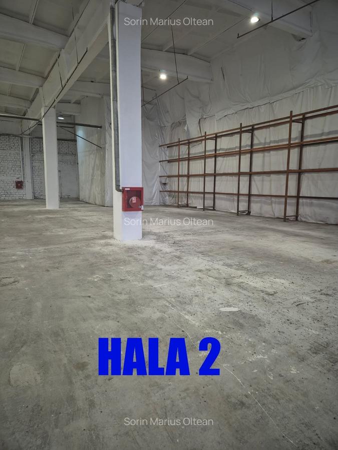 Hale de închiriat - 10