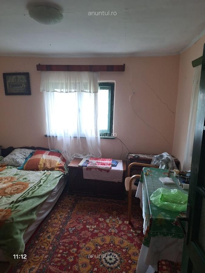 Vand casa teren 3000mp satul Gresia, Rosiorii de Vede, Teleorman - 8