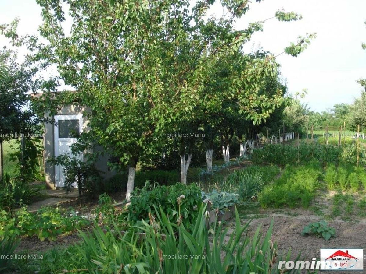 Casa si teren in Lazuri ( ID 21626) - 10