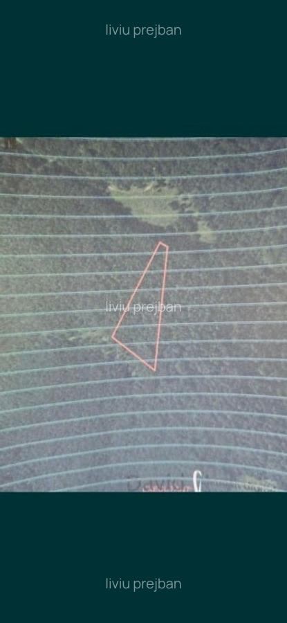 Vând casa batraneasca + teren + padure - 4