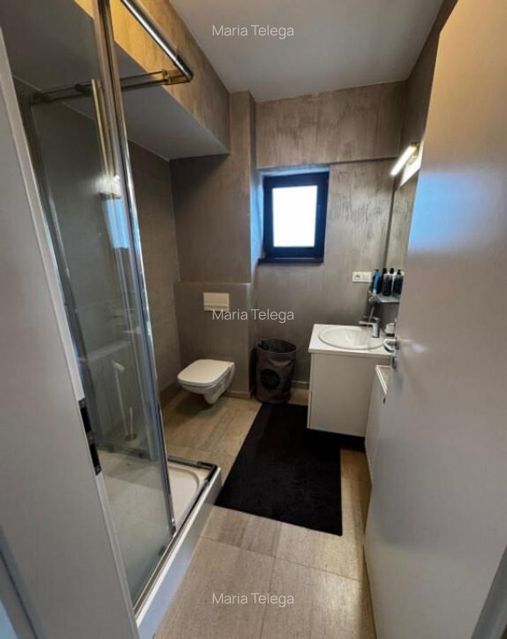 Apartament spa?ios ?i luminos, 3 camere, decomandat, parca - 15