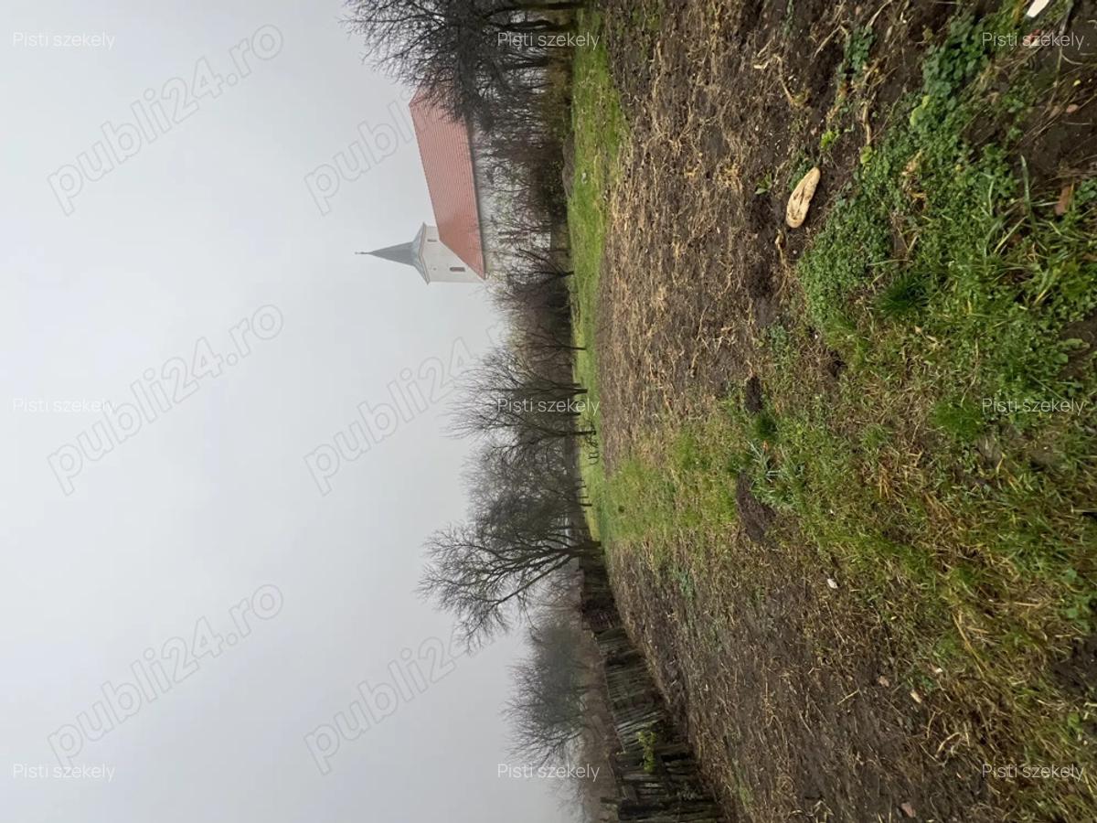 Se vinde casa parinteasca sat. Vechea com. Chinteni - 3