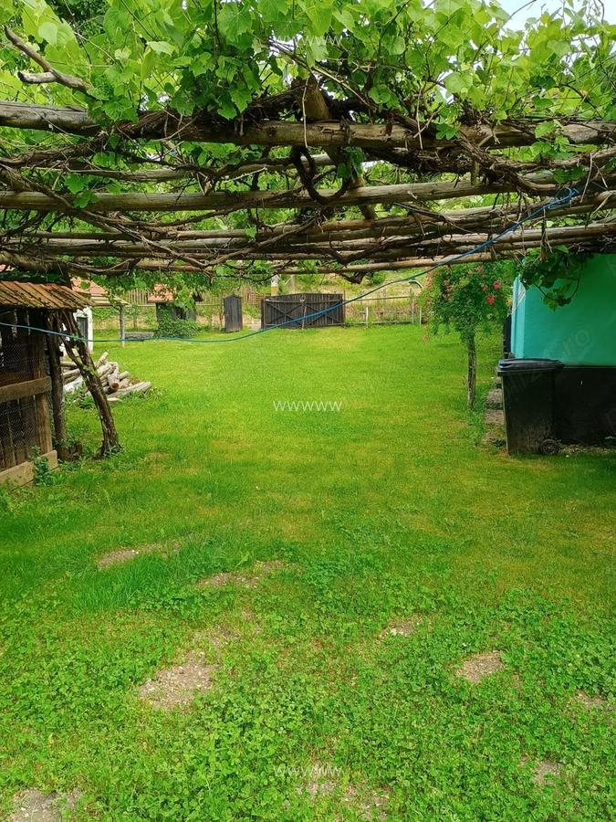 Casa ,anexe ,teren , sat Micanesti,comuna Zam, judetul Hunedoara - 5