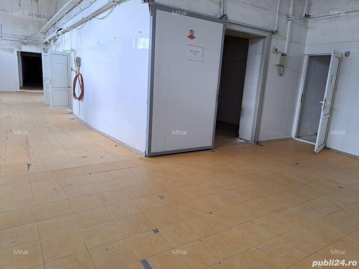 Inchiriez spatii depozitare DE LA 200 euro luna intr-un fost abator in localitatea Carani - 4
