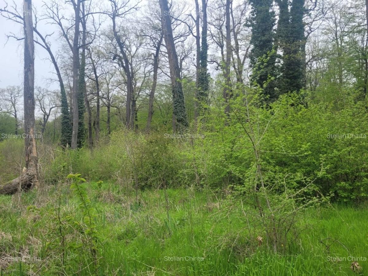 SUPER  OCAZIE TEREN 4000MP DE VANZARE IN SNAGOV CU DESCHIDERE LA LACUL SNAGOV - 4