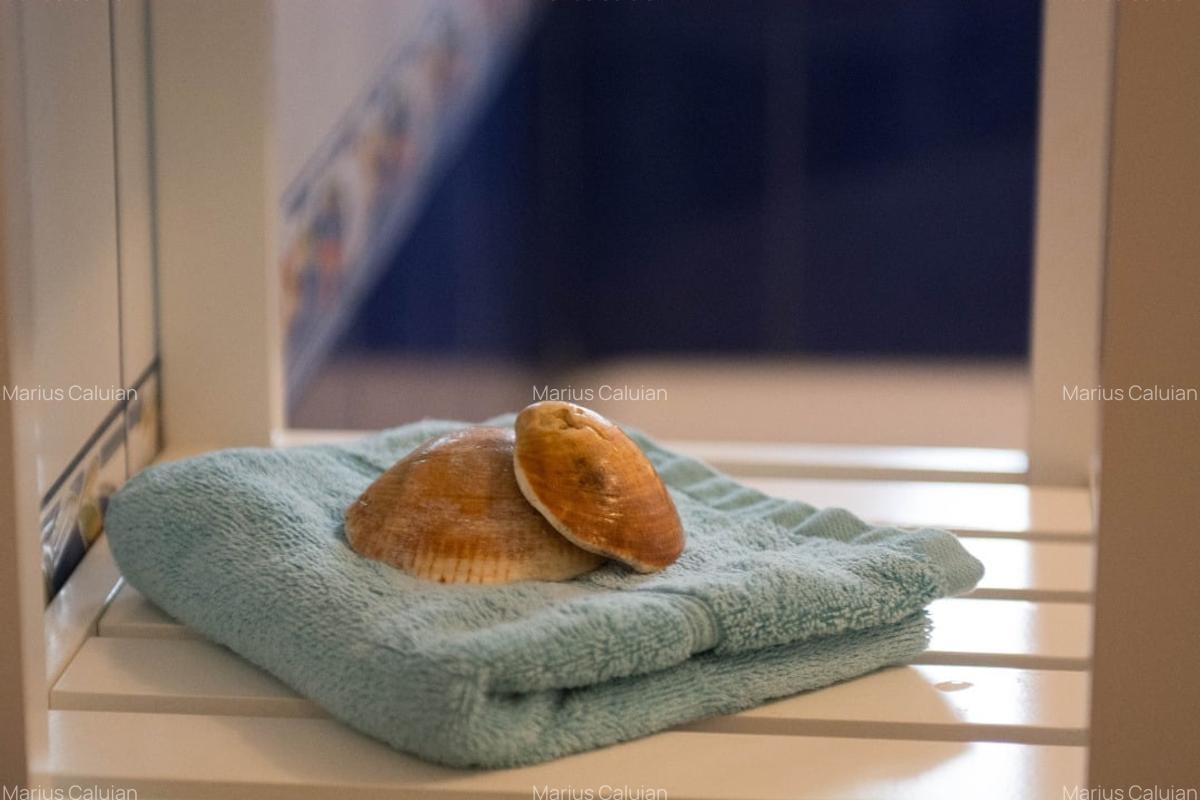 Bloc reabilitat, apartament trei camere zona Zepter - 15