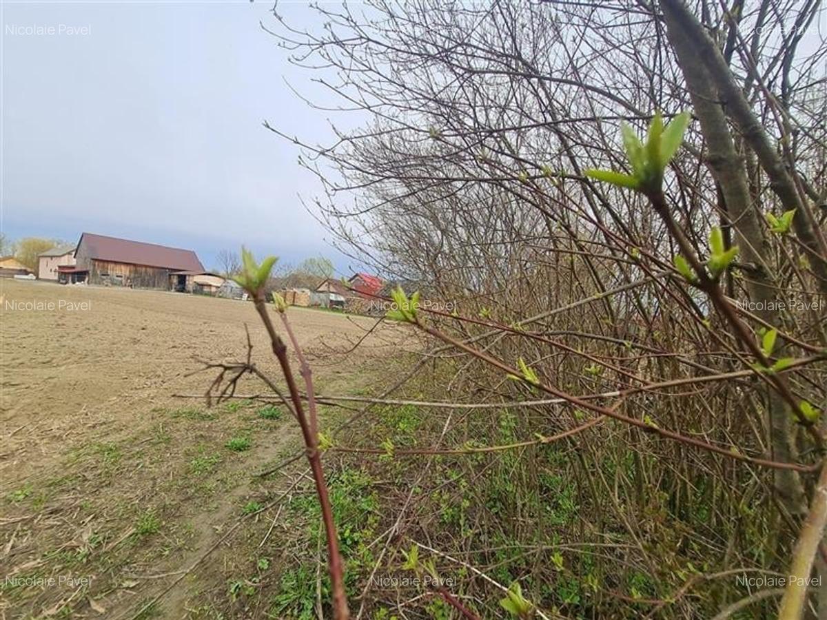 1.700mp intravilan,acces usor,intre case,ideal 2 locuinte/investitie,Lunca Calni - 12
