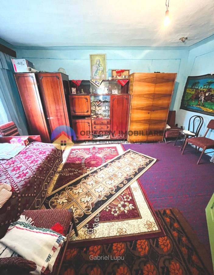 CASA traditionala BICAZU ARDELEAN + teren extravilan 1,6 hectare - 11
