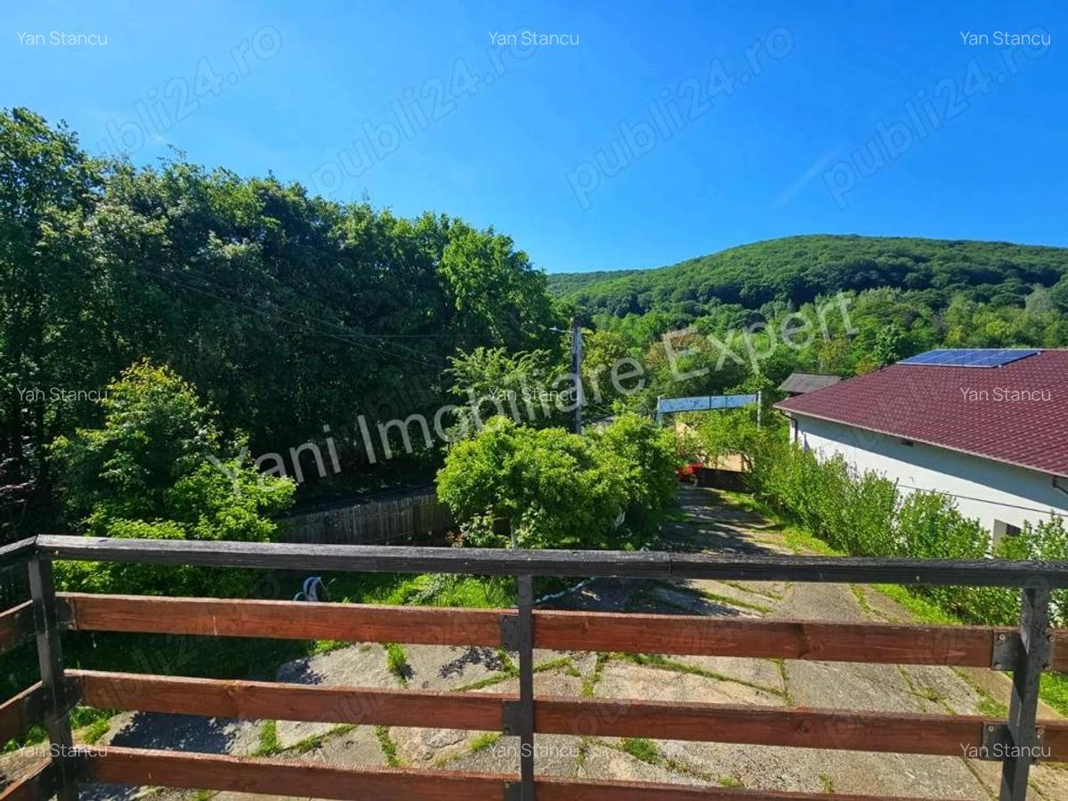 Casa Pensiune de vanzare in Curtea de Arge?, zona Valea Sasului. - 18