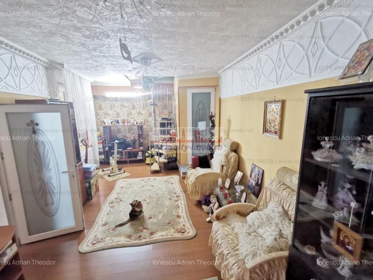 Vanzare casa Andronache - 3