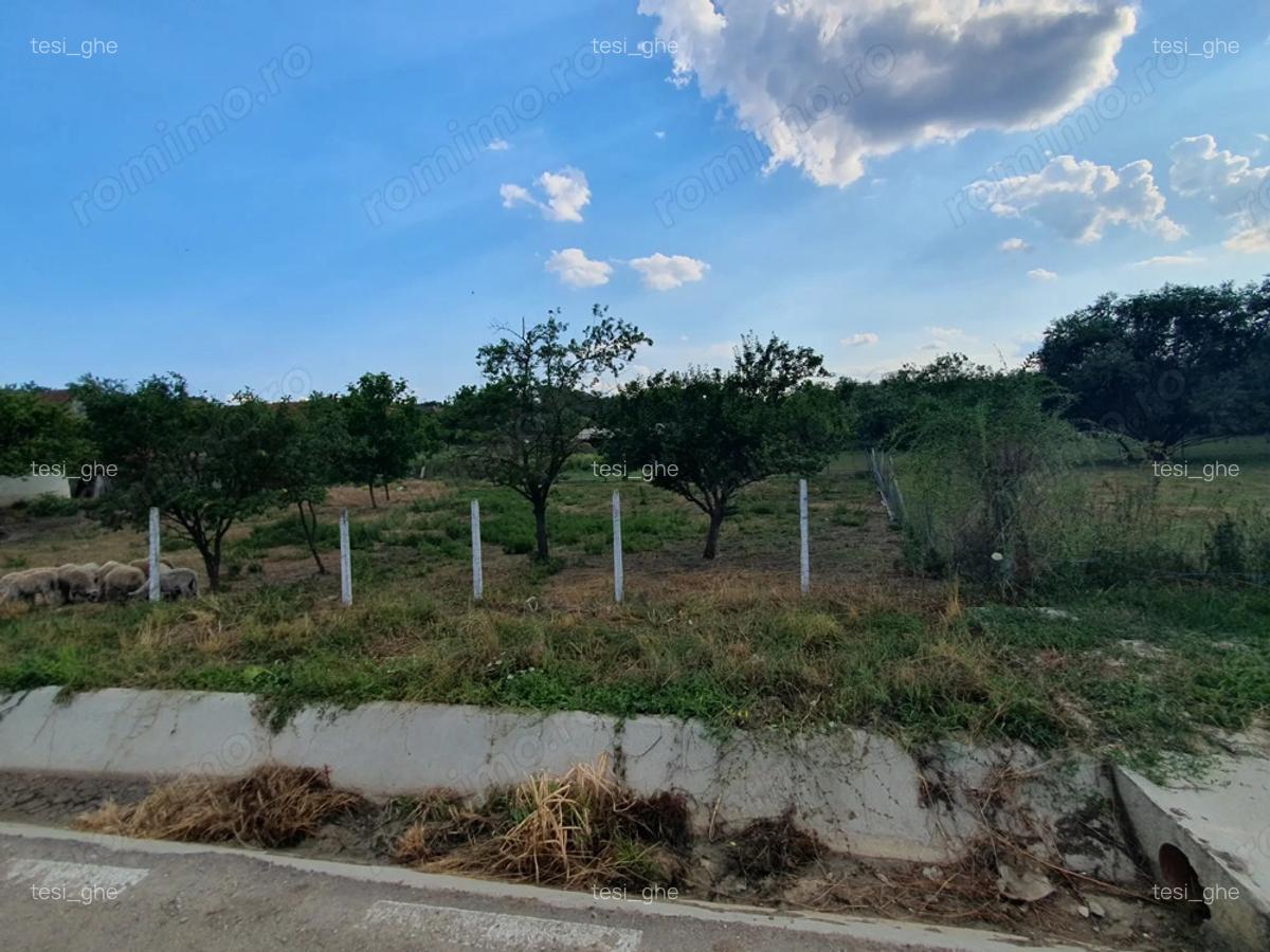 Vand casa cu teren intravilan ?i utilita?i 1701 mp - 2