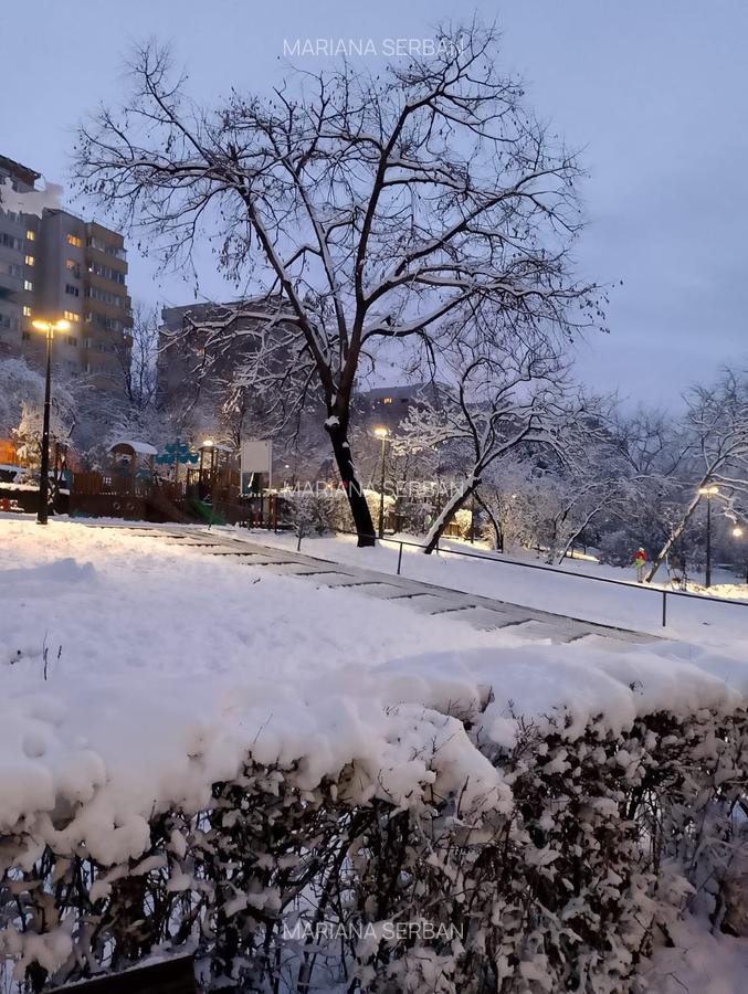 Apartament cu 3 camere decomandat în Doamna Ghica - 20