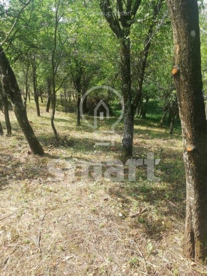 Teren intravilan cu CF 5400mp front 17 Savadisla jud Cluj - 5