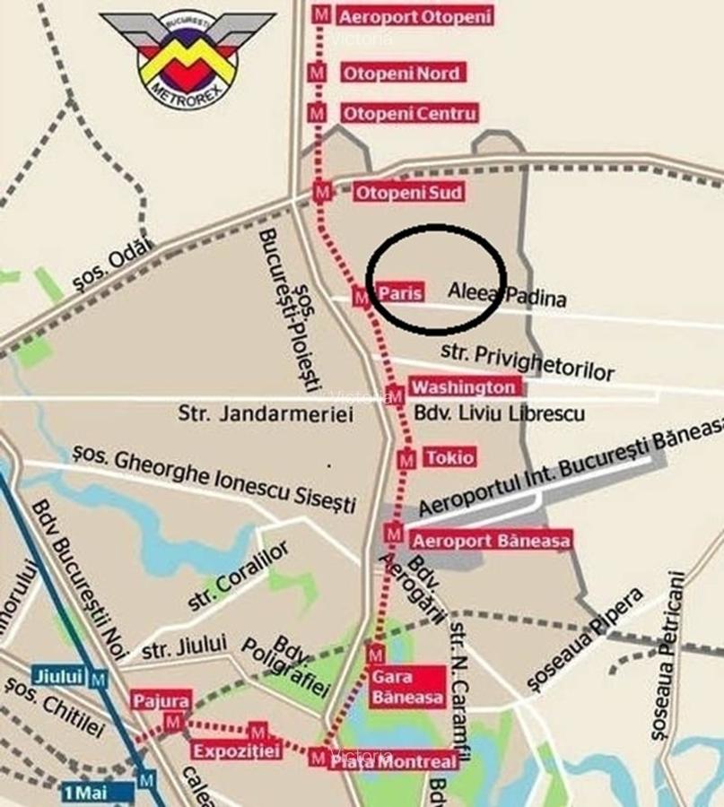 DN1, metrou Paris,padure,oportunitate investitie,pentru dezvoltare,pret redus - 2