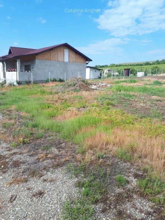 Loturi de teren intravilan, 413 mp, Chitorani, Prahova - 2