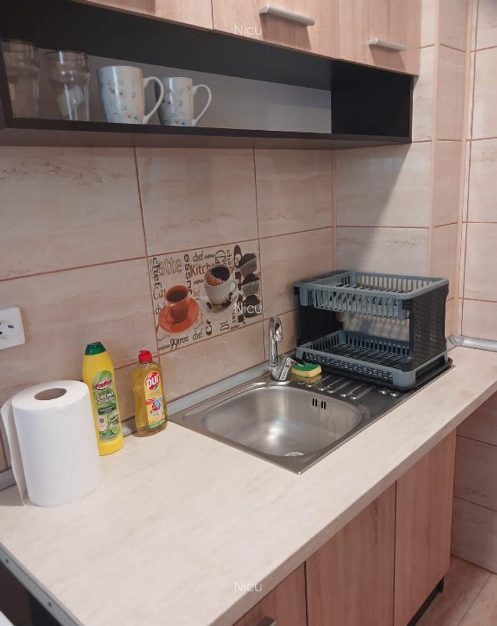 Garsoniera de inchiriat,sector 3,Titan,piata Minis - 5