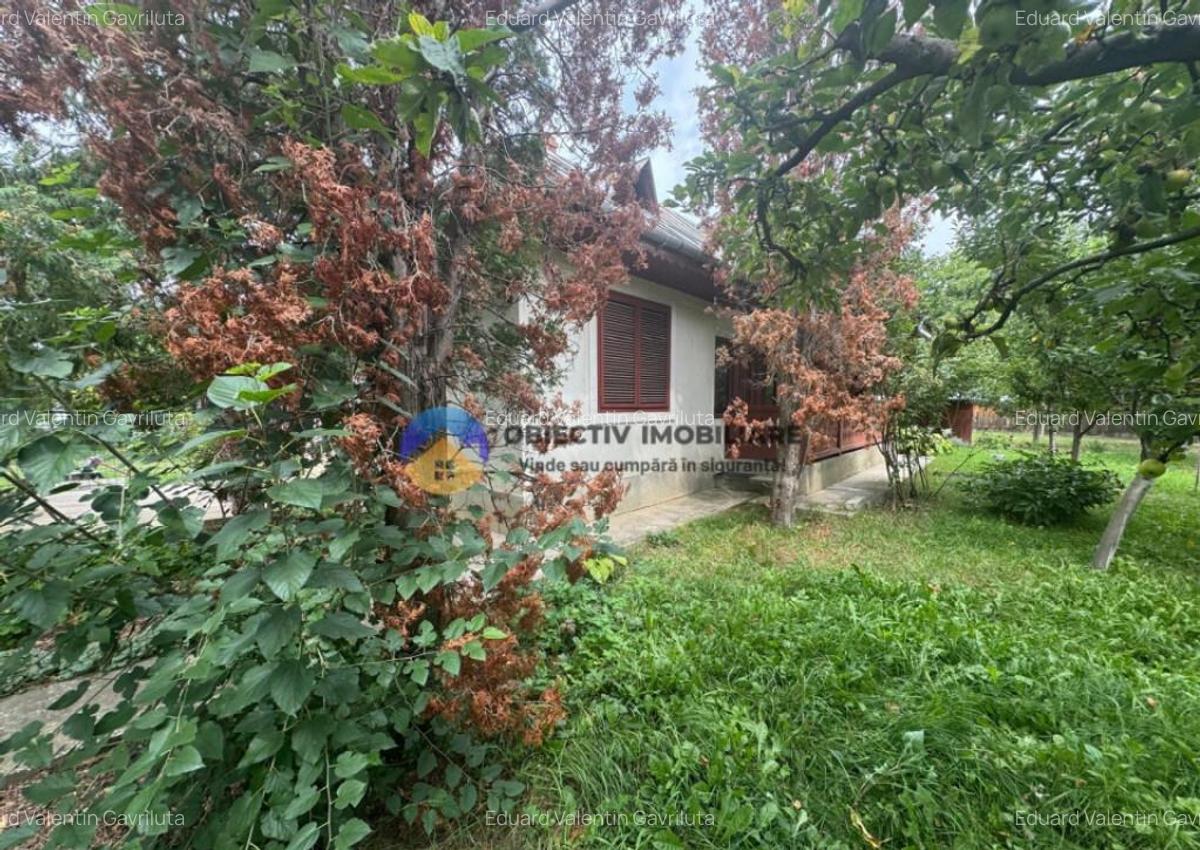 Casa tradi?ionala de vanzare in comuna Podoleni, jud. - 31