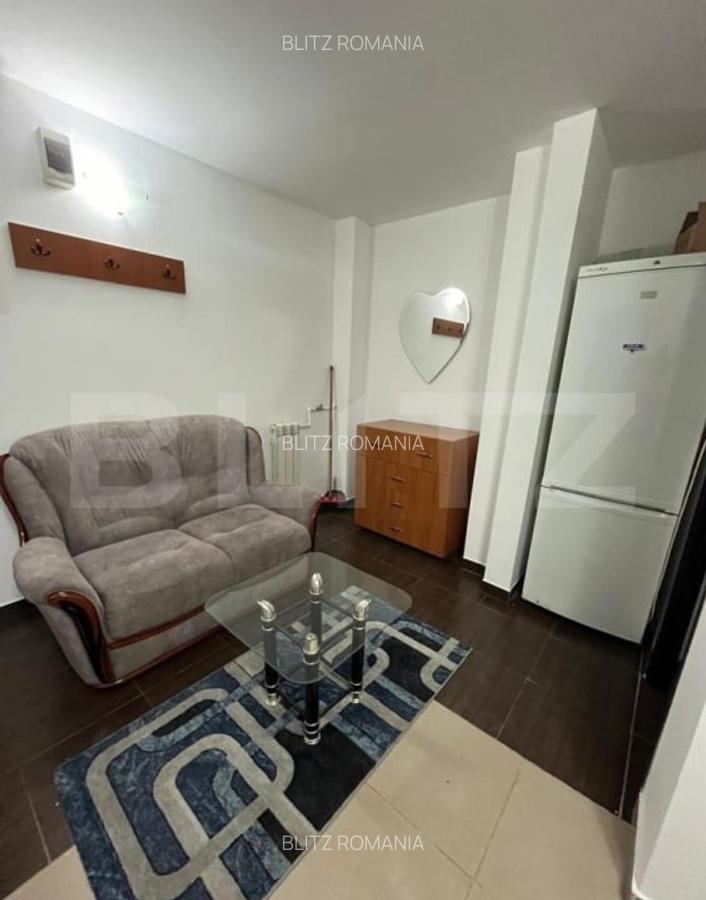 Apartament de inchiriat, cu 1 camera, zona LIDL Tatarasi - 3