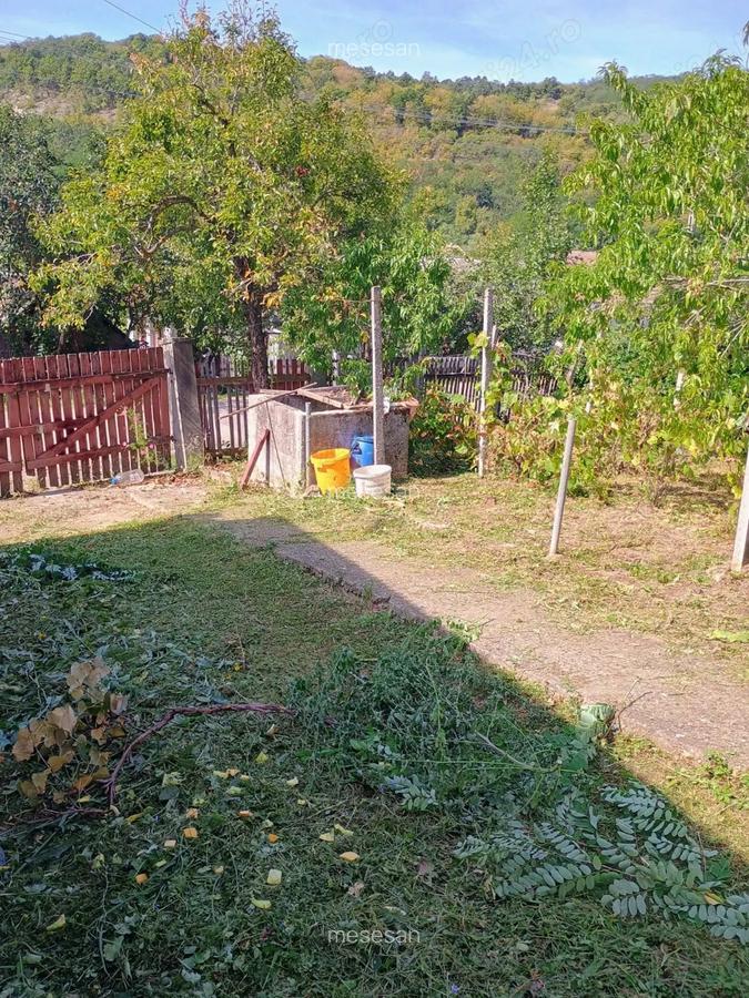 Casa + bucatarie de vara+gradina - 6