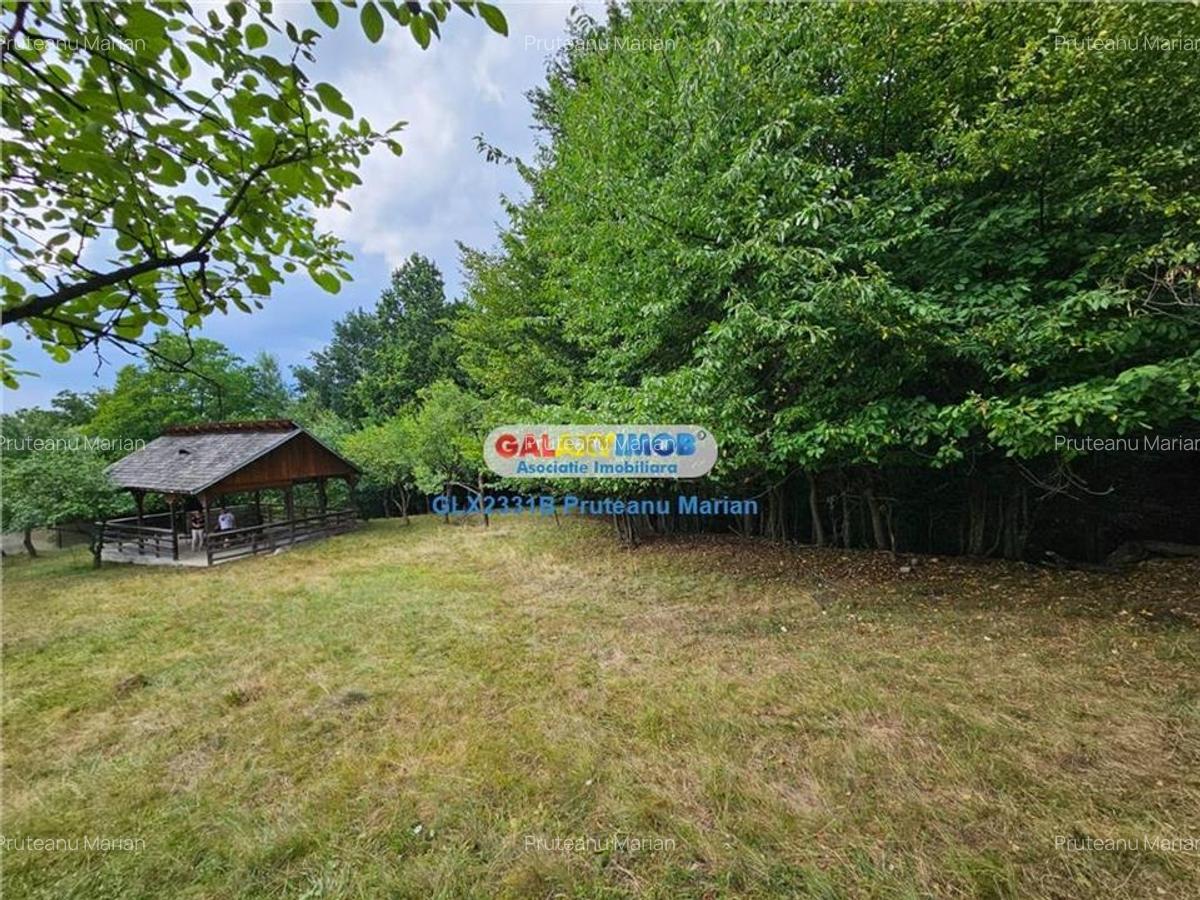 Vanzare teren 2680 m situat la Curtea de Arges cu iesire spre Transfag - 4