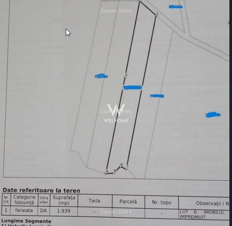 Teren Intravilan in Tocile-priveliste deosebita - Sadu - Sibiu - 4