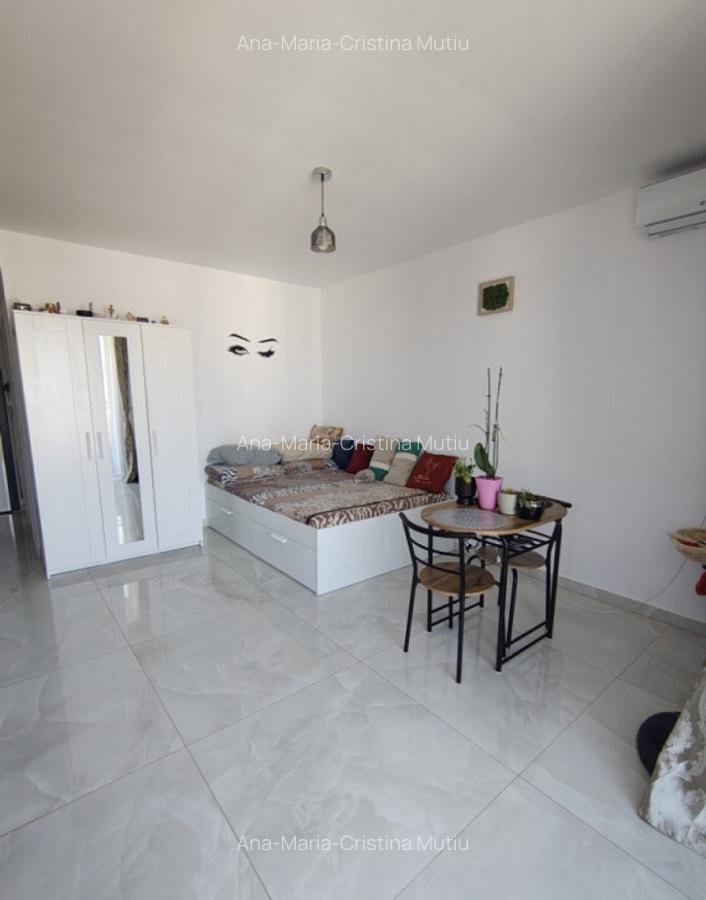 Apartament cu o camera Giroc Braytim - 1