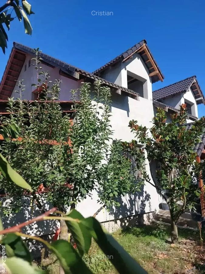 Vand casa la iesirea din Timisoara - 3