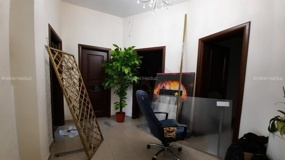 REV0017192 Piata Victoriei - VIla interbelica cu gradina - 10