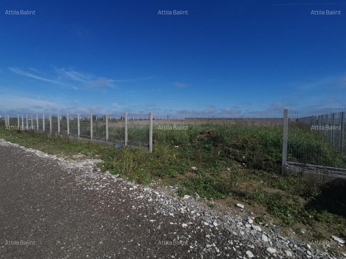 Dumbravita teren industrial 2581 mp - 4