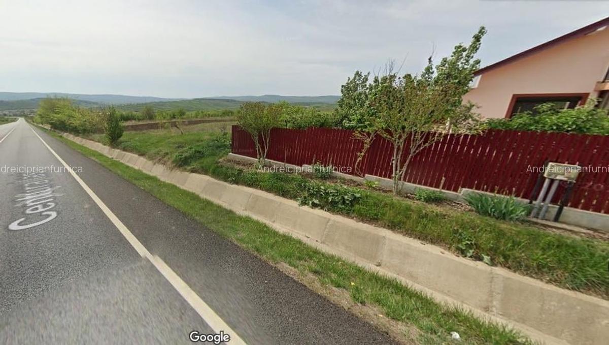 OCAZIE! Ciurbesti Miroslava teren 1500mp doua loturi intravilan la sos de centur - 2