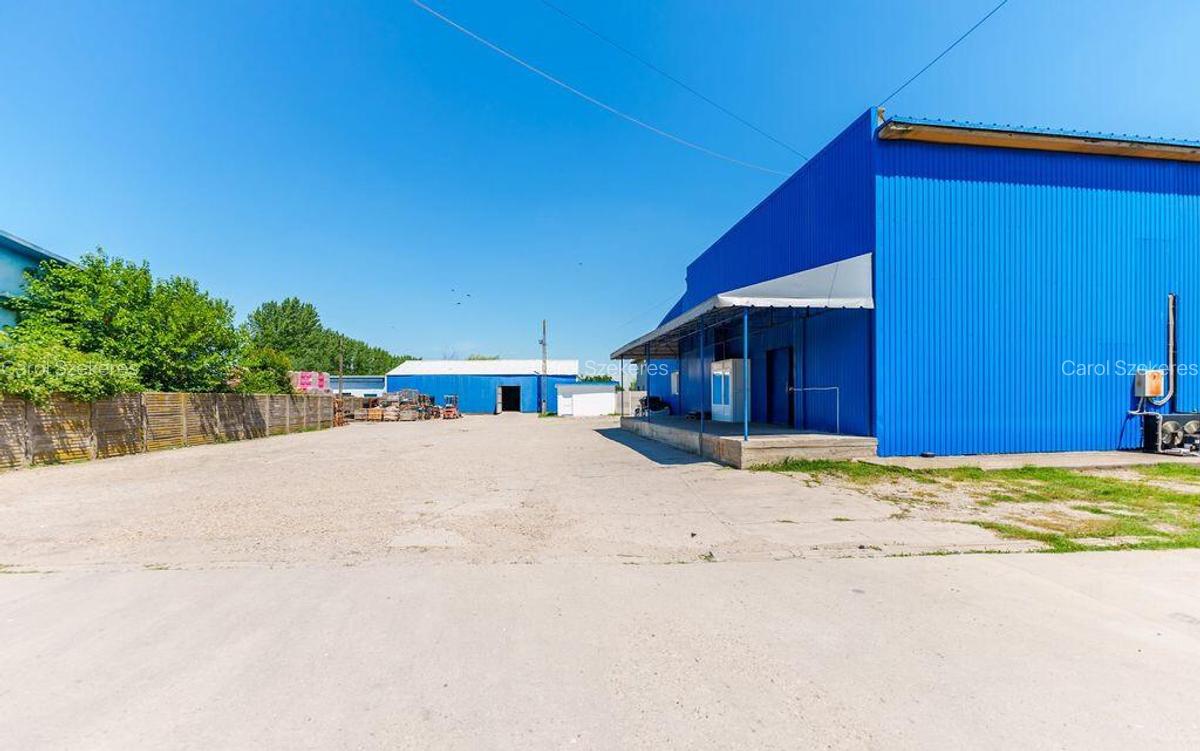 Depozit frigo de inchiriat in Sacalaz - 22