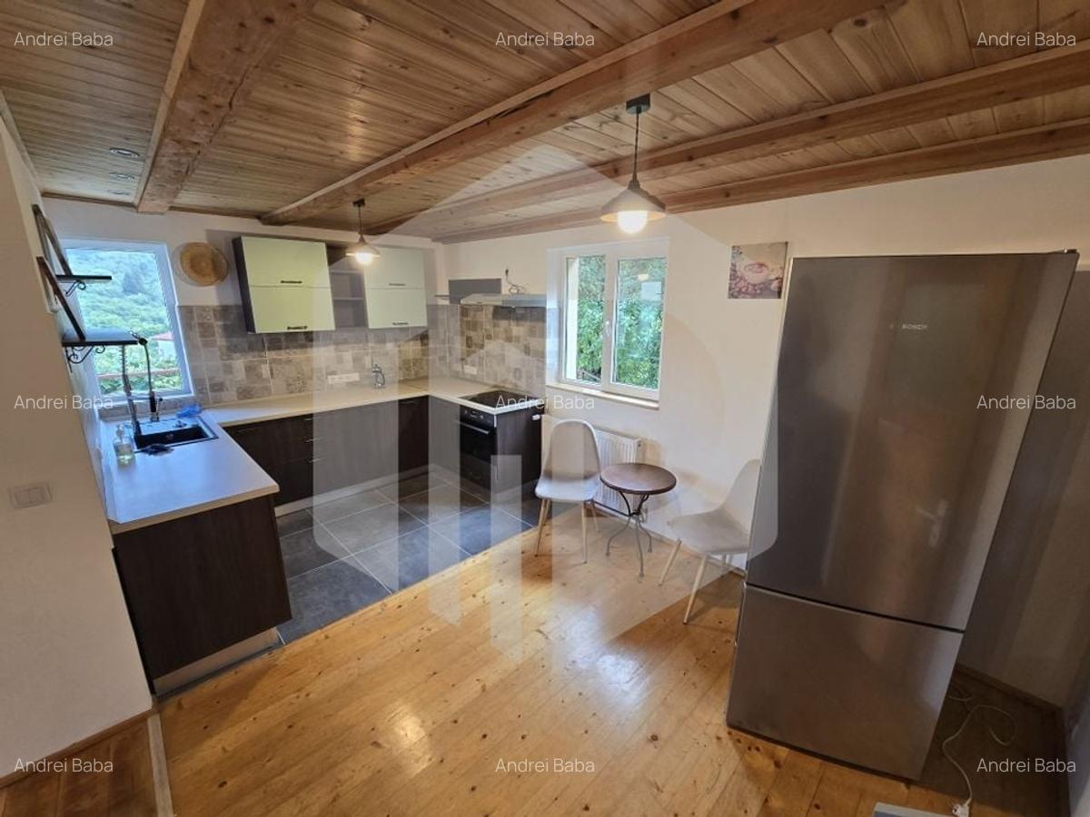 Casa individuala 4 camere teren 3825 mp Cisnadioara - 3