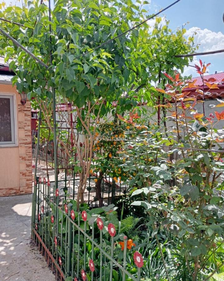 Casa in zona Radu Negru Braila - 8