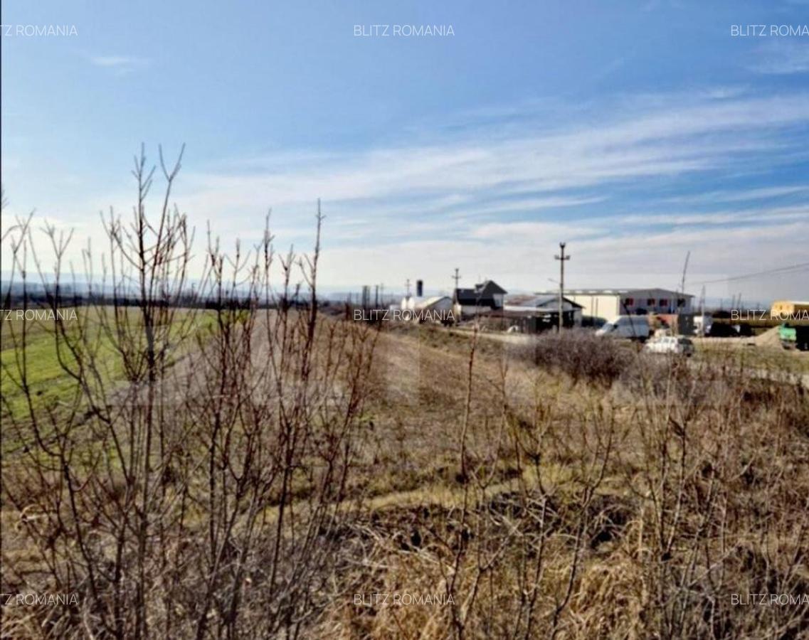 Teren intravilan 5300 mp, la DE 79, pretabil investitie in B - 2