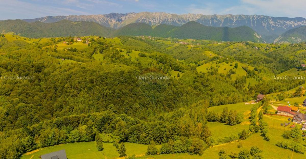 Teren extravilan 2,000mp Pestera / cabana vacanta/natura - 3