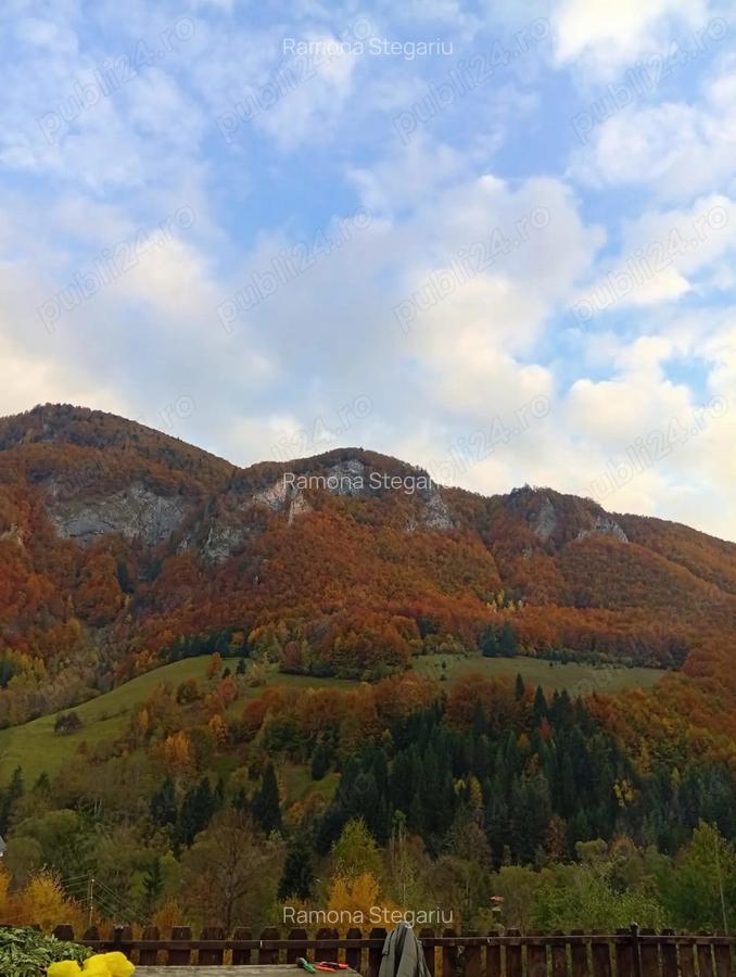 Oportunitate unica: casa de vacanta cu o priveliste de poveste, renovata, in Muntii Apuseni - 8