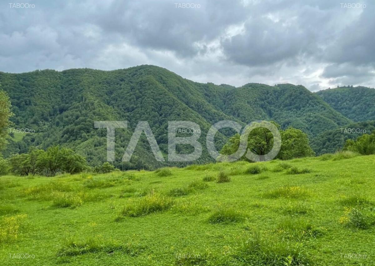 Teren intravilan de vanzare in Martinia de sus - 6