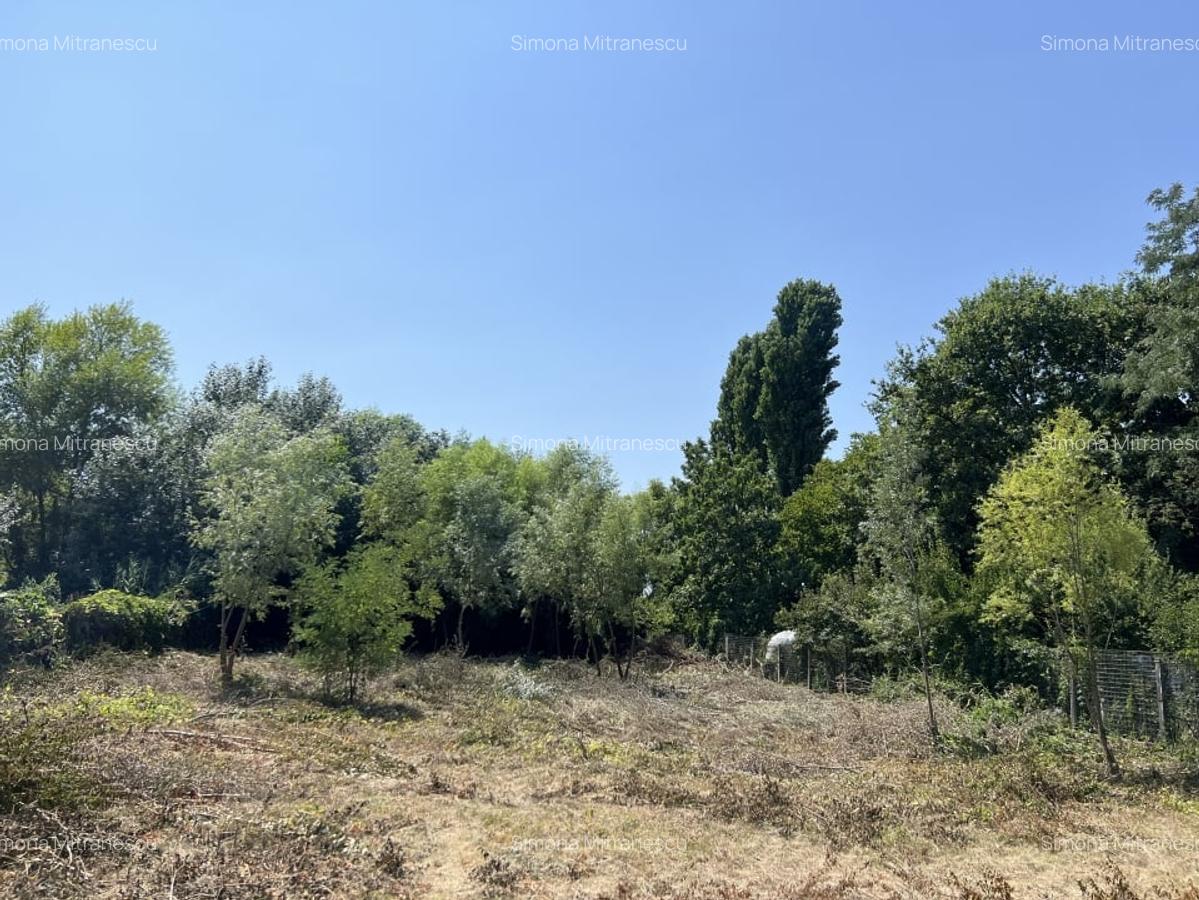 Teren Manastirea Snagov. Deschidere lac 22 m. Front stradal 30 metri. - 6