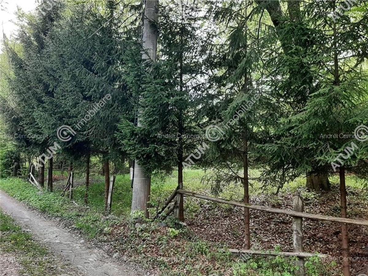 Teren intravilan 800 mp pe Valea Avrigului in apropierea raului Avrig - 3