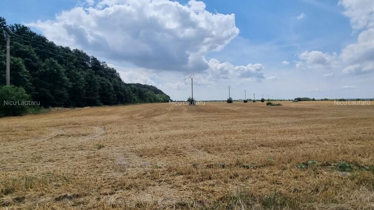 Vanzare Teren intravilan Balotesti Saftica 10000mp - 7