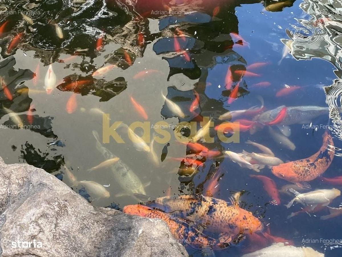 Garsonieră modernă de închiriat – North Lake Herăstrău - 4