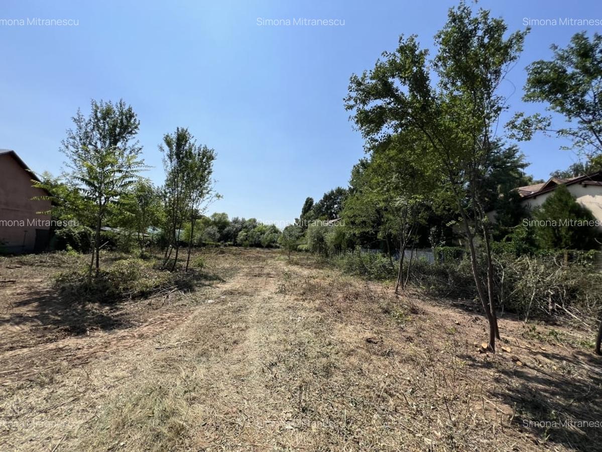 Teren Manastirea Snagov. Deschidere lac 22 m. Front stradal 30 metri. - 5