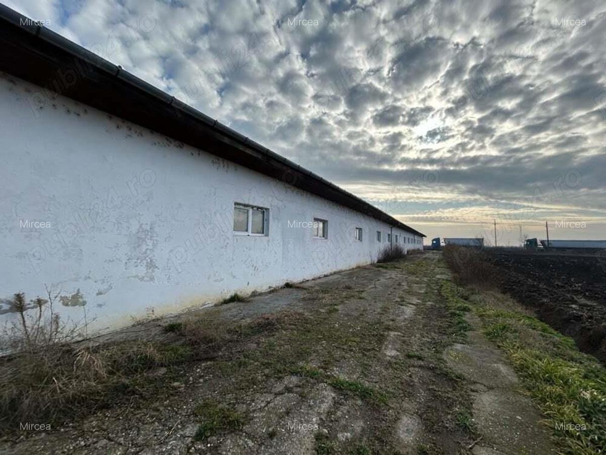 Vand teren intravilan,zona industriala,st.16,8 ha. + 8 ha.agricol,in Sanicolau Mare, la DN6,la sosea - 14