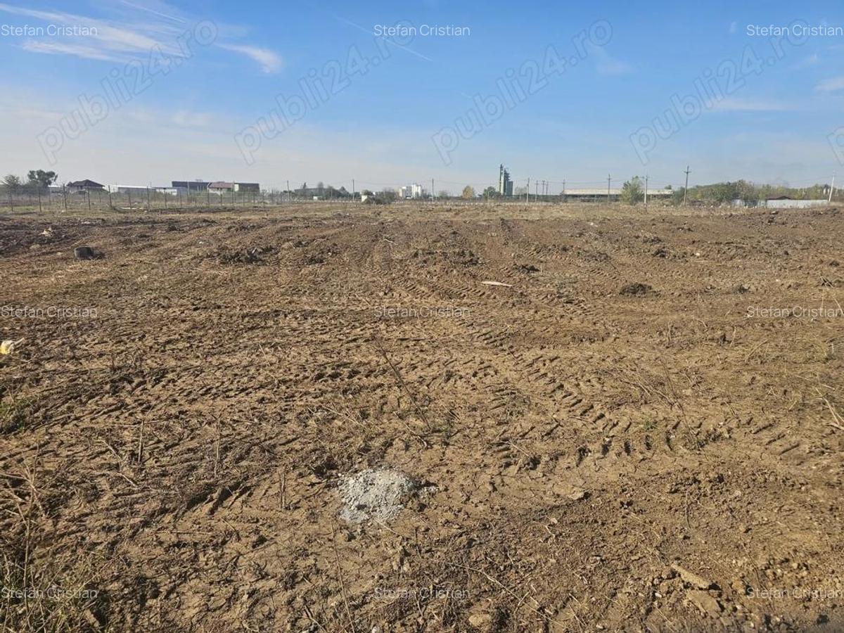 Teren intravilan 3600 mp Chiajna - 1