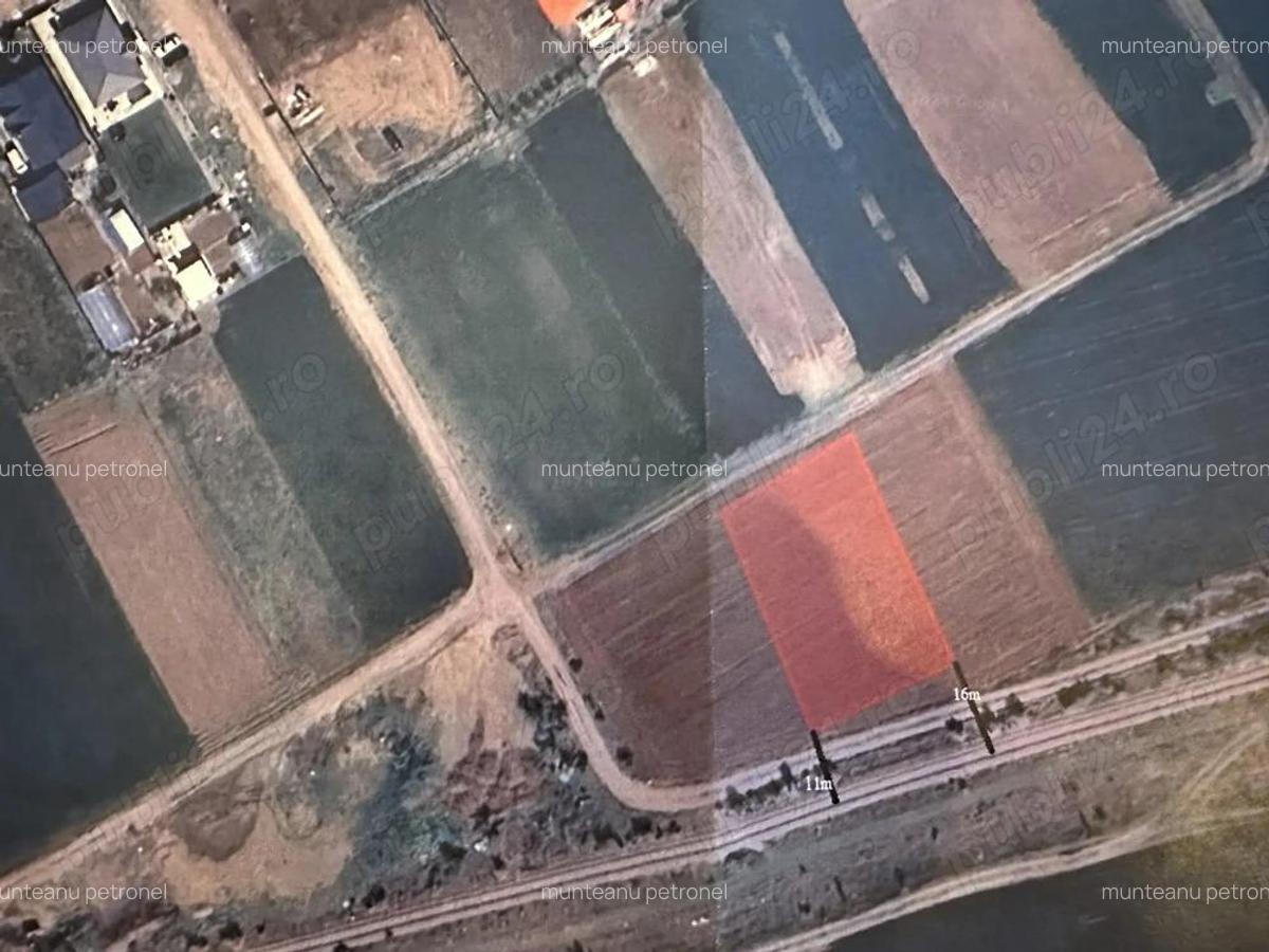 Vanzare teren casa la padure Moara Vlasiei - 2