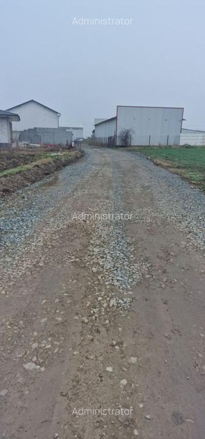 Ovidiu- Poiana, teren intravilan ideal pentru constructie case - 3