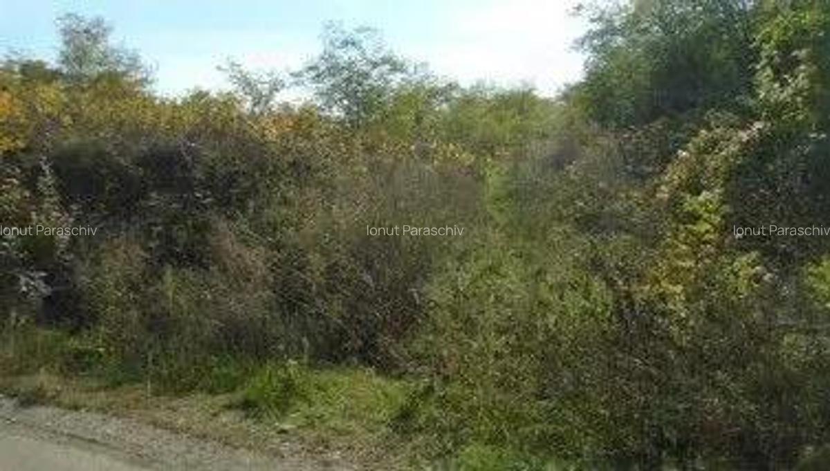 Teren extravilan Tamboesti ; ID: R2832805 - 7